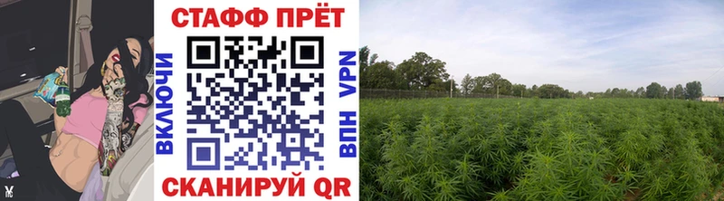 Купить закладку КОКАИН  Марихуана  Меф  АМФЕТАМИН  ГАШИШ  Тихорецк